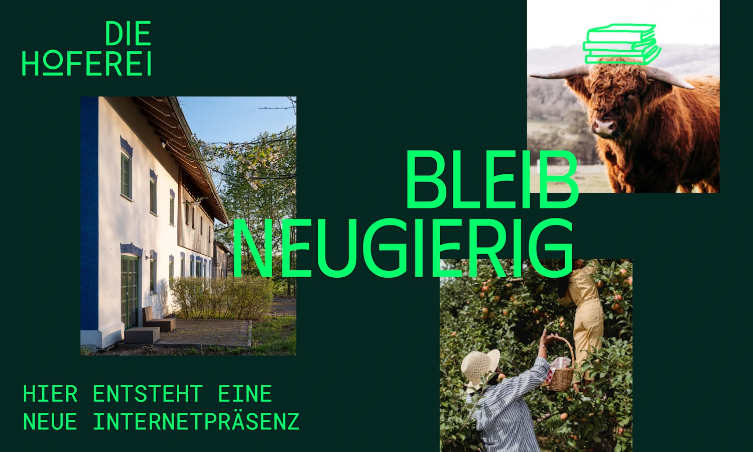 Die Hoferei